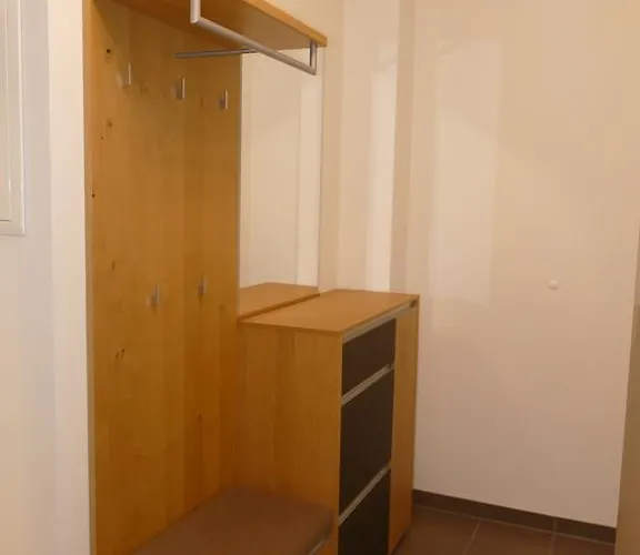 Chads Mit Tiefgarage Free Parking 公寓 格拉茨